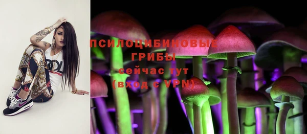 apvp Вязники