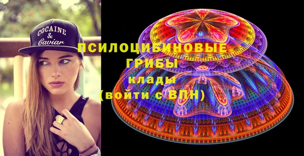 apvp Вязники
